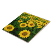 Mooie zonnebloemen tegeltje (Zijkant)