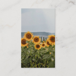 Mooie Zonnebloemveld Natuur Esthetische Fotografie Visitekaartje