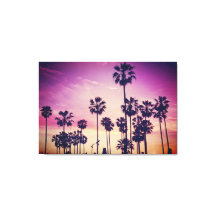 Mooie zonnepalmbuisdop