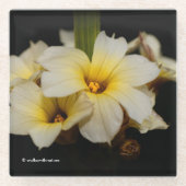 Mooie zonnetjes op zwart glazen onderzetter (Voorkant)