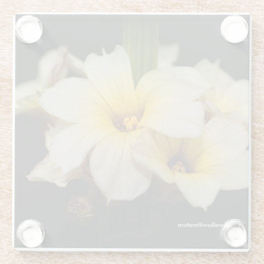 Mooie zonnetjes op zwart glazen onderzetter (Achterkant)