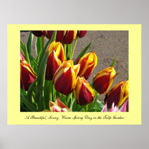 Mooie Zonnige Warme Lente Dag kunst Tulpen Tuin Poster
