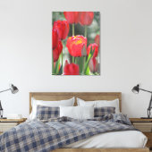 Mooie zonovergoten rode tulp canvas print (Insitu (Slaapkamer))
