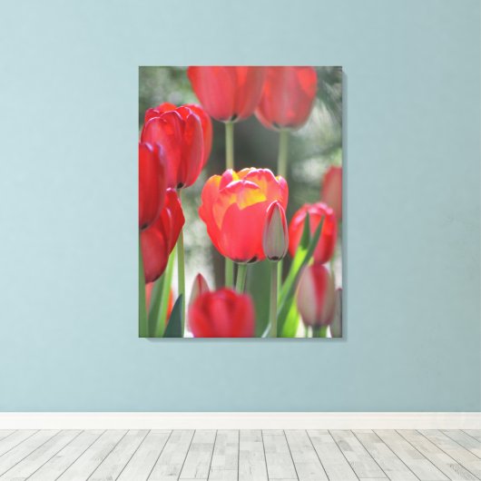 Mooie zonovergoten rode tulp canvas print (Insitu (Houten vloer))