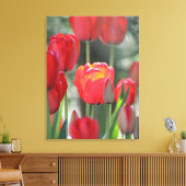 Mooie zonovergoten rode tulp canvas print (Insitu (Woonkamer))