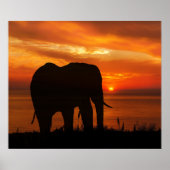 Mooie zonsondergang met silhouet van olifant poster (Voorkant)