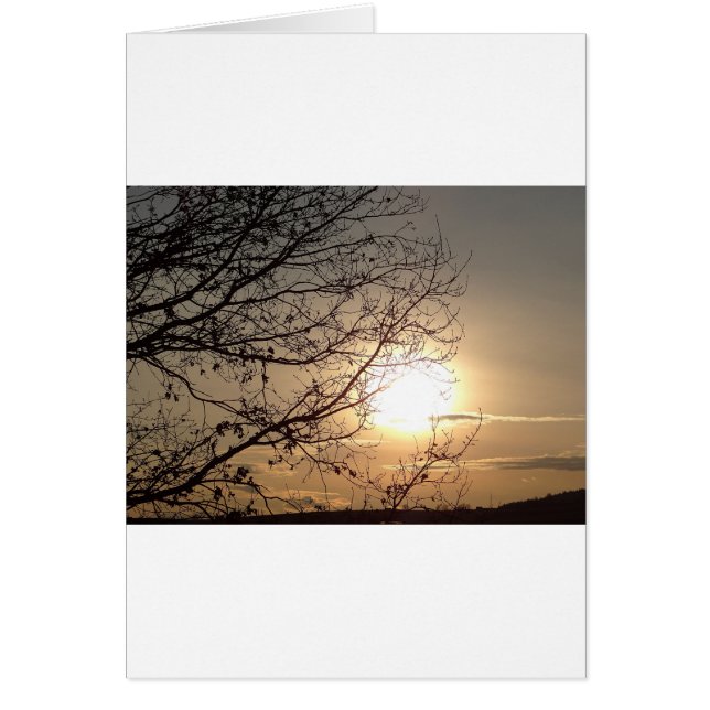 Mooie zonsondergang met vertakkingen (Voorkant)