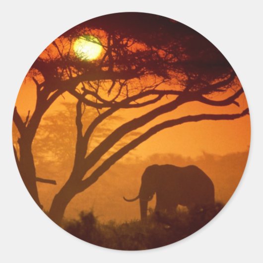 Mooie zonsondergang olifant ronde sticker (Voorkant)