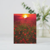 Mooie zonsondergang over het veld van de rode bloe briefkaart (Staand voorkant)