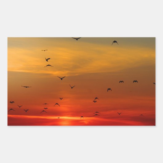 Mooie Zonsondergang Schilderachtig Landschap Fotog Rechthoekige Sticker (Voorkant)