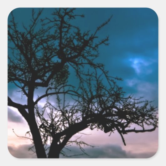 Mooie Zonsondergang Schilderachtig Landschap Fotog Vierkante Sticker (Voorkant)