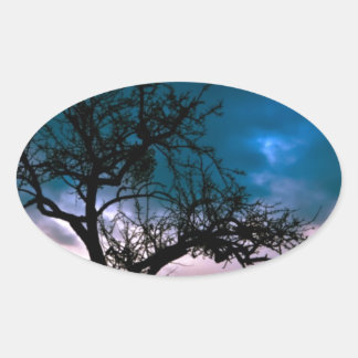 Mooie Zonsondergang Schitterend Landschap Fotograf Ovale Sticker