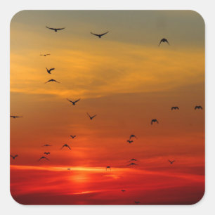 Mooie Zonsondergang Schitterend Landschap Fotograf Vierkante Sticker