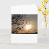 Mooie zonsondergang van de groet met branchevers kaart (Gele Bloem)