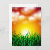 Mooie zonsopgang over een grasveld briefkaart (Voorkant / Achterkant)