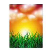 Mooie zonsopgang over een grasveld