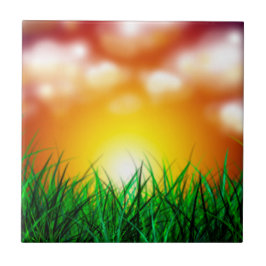 Mooie zonsopgang over een grasveld tegeltje