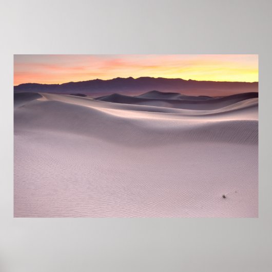 Mooie zonsopgang over woestijn Sand Dunes Poster (Voorkant)