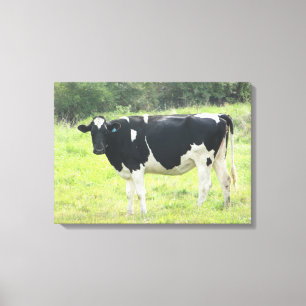 Mooie Zuivelkoe Foto Muur Canvas Kunst