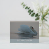 Mooie zwaan in het avondlicht CC0755 Briefkaart (Staand voorkant)