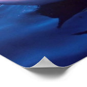 Mooie zwaan in het meer poster (Hoek)