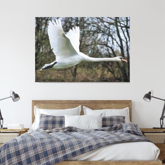 Mooie zwaan in vlucht verpakt canvas (Insitu (Slaapkamer))