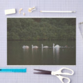 Mooie zwaan Tissue Paper Tissuepapier (Craft)