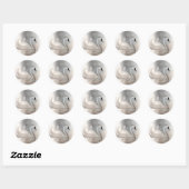 Mooie Zwand White en Silver Elegant Custom Favor Ronde Sticker (Vel)