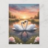 Mooie zwanen briefkaart (Voorkant)