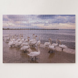 Mooie zwanen in de Morning Puzzle Legpuzzel