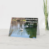 MOOIE ZWANEN STUREN MOOIE **VERJAARDAGSWENSEN** KAART (Voorkant)