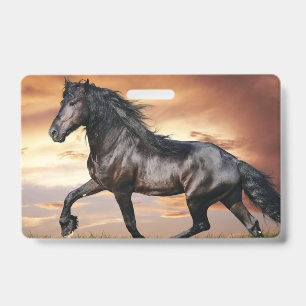 Mooie Zwarde Paard Badge
