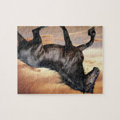 Mooie Zwarde Paard Legpuzzel (Horizontaal)