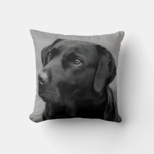 Mooie zwart-wit foto van een zwarte labrador kussen
