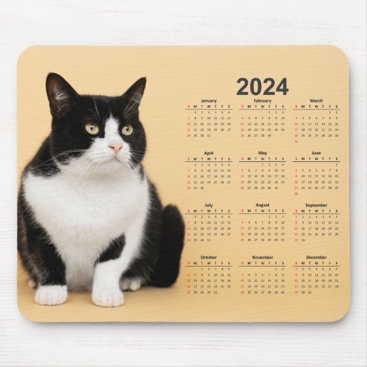 Mooie zwart-witte kat 2024 kalender muismat (Voorkant)