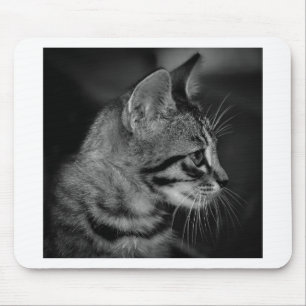 Mooie zwart-witte kitten muismat