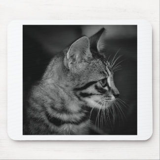 Mooie zwart-witte kitten muismat