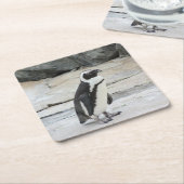 Mooie zwart-witte pinguïn op de rotsen kartonnen onderzetters (Schuin)