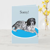 Mooie zwart-witte springer Spaniel Sorry Kaart (Gele Bloem)