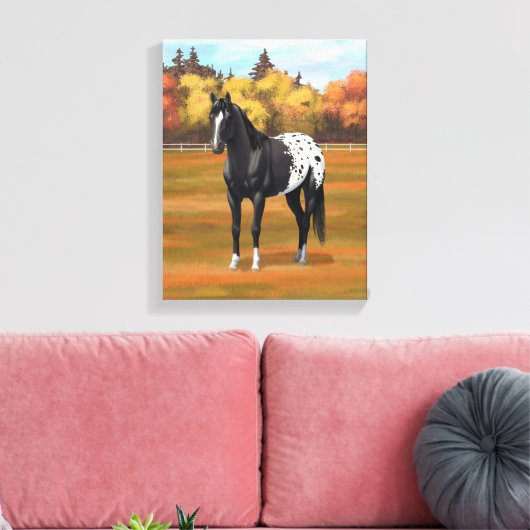 Mooie zwarte Appaloosa Quarter Horse Stallion Canvas Afdruk (Insitu (Woonkamer))