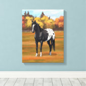 Mooie zwarte Appaloosa Quarter Horse Stallion Canvas Afdruk (Insitu (Houten vloer))