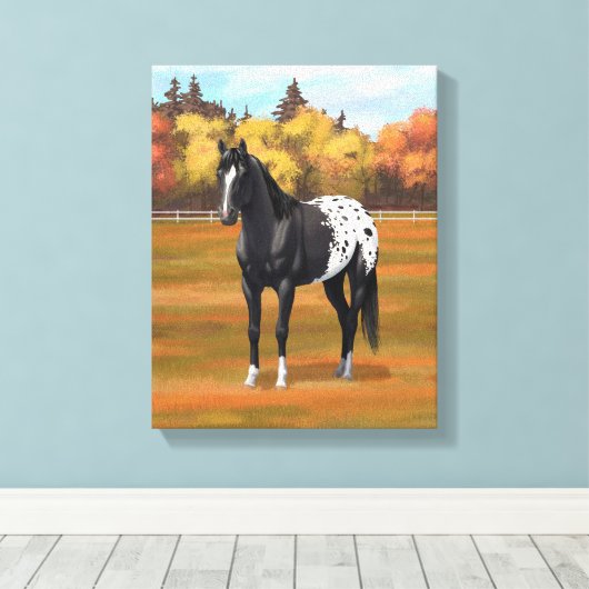 Mooie zwarte Appaloosa Quarter Horse Stallion Canvas Afdruk (Insitu (Houten vloer))