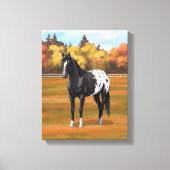 Mooie zwarte Appaloosa Quarter Horse Stallion Canvas Afdruk (Voorkant)