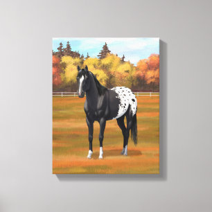 Mooie zwarte Appaloosa Quarter Horse Stallion Canvas Afdruk