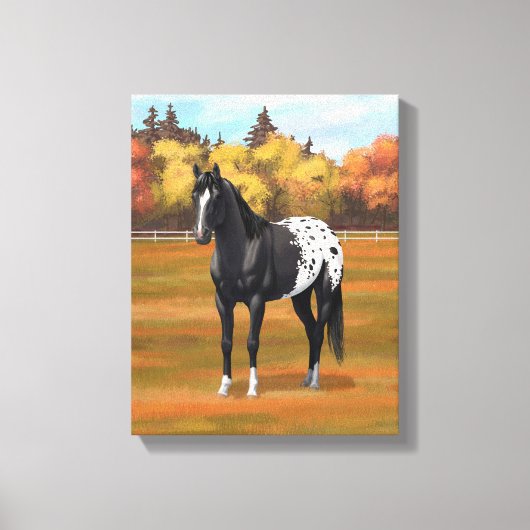 Mooie zwarte Appaloosa Quarter Horse Stallion Canvas Afdruk (Voorkant)