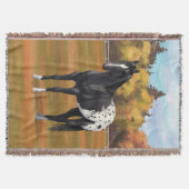 Mooie zwarte Appaloosa Quarter Horse Stallion Deken (Voorkant)