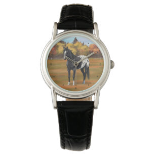 Mooie zwarte Appaloosa Quarter Horse Stallion Horloge