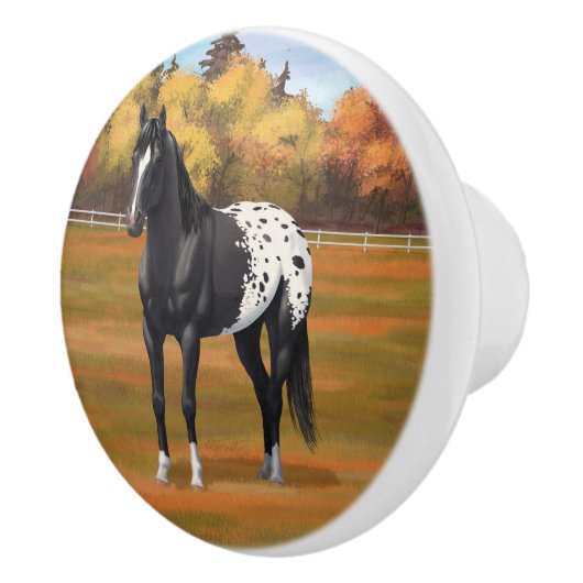 Mooie zwarte Appaloosa Quarter Horse Stallion Keramische Knop (Rechts)