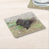 Mooie zwarte eekhoornset voor Onderzetter (Schuin)