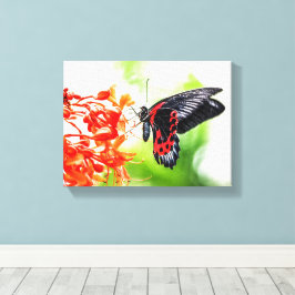Mooie zwarte en rode vlinderinsecten Natuur Canvas Afdruk